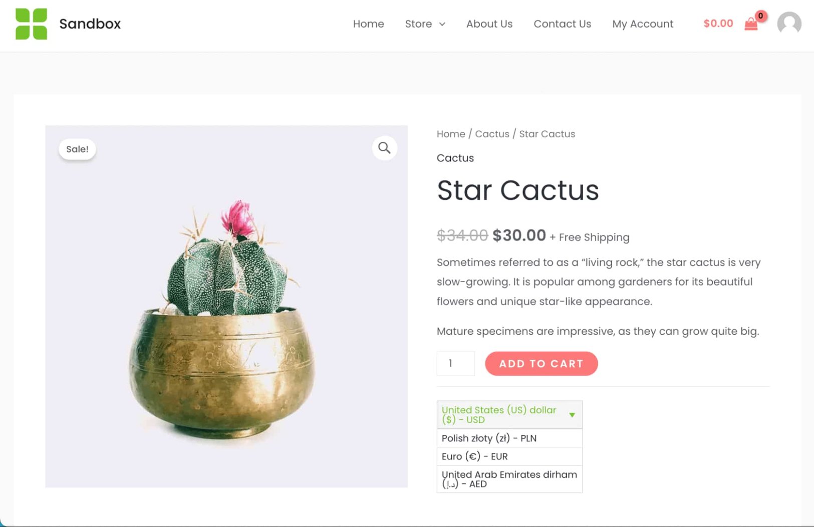Adding MultiCurrency Options to Your Store (With Free Plugins)